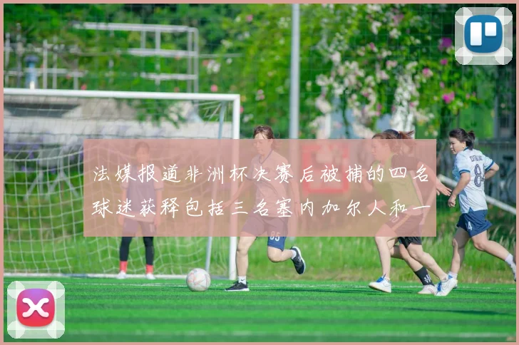 法媒报道非洲杯决赛后被捕的四名球迷获释包括三名塞内加尔人和一名法国人